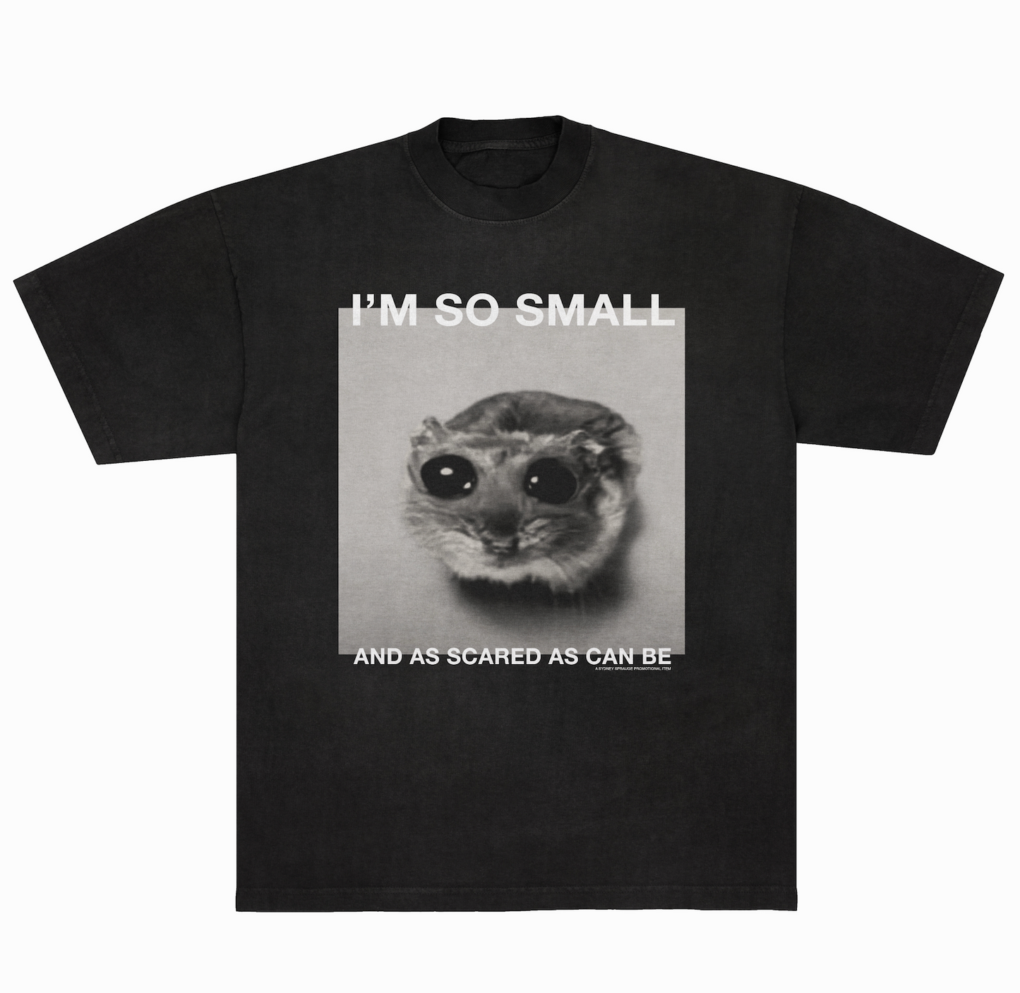 So Small So Scared Shirt