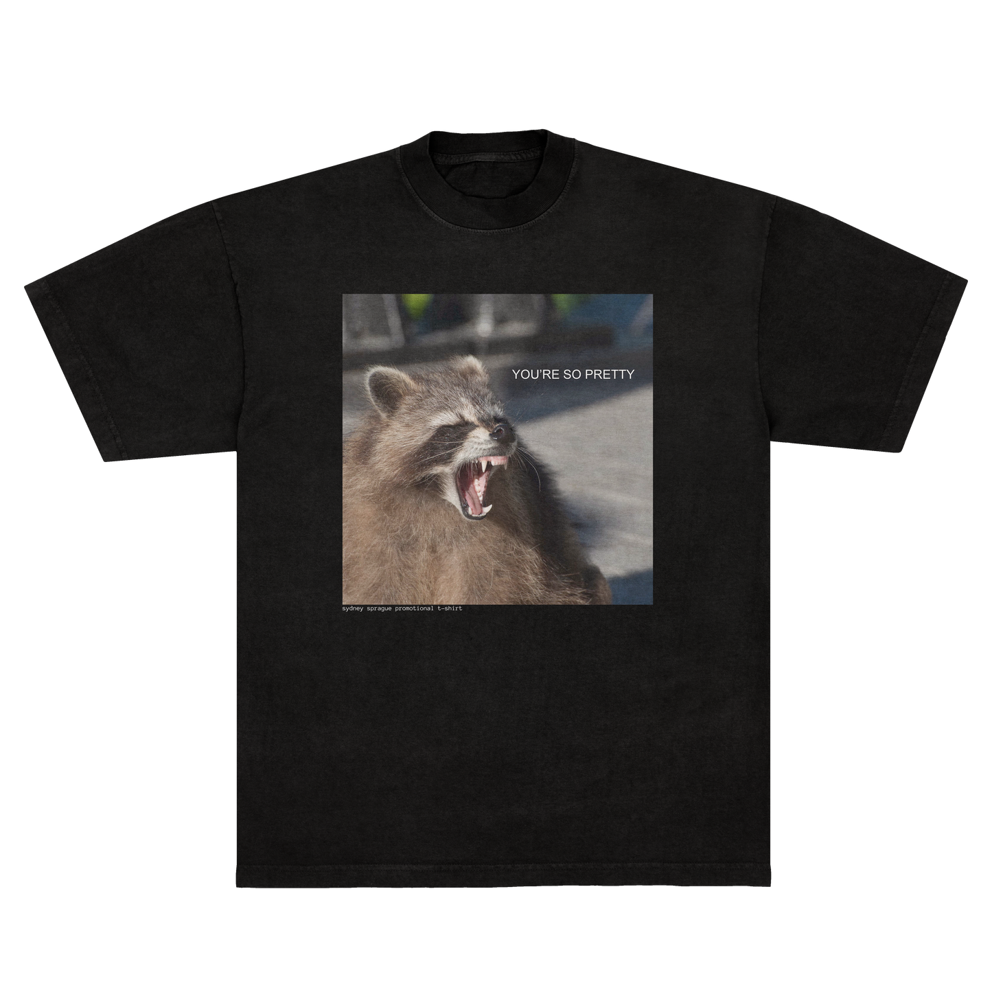 You're So Pretty Raccoon Shirt